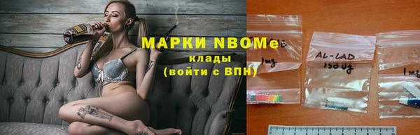 мдпв Алексин