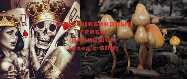 мдпв Алексин