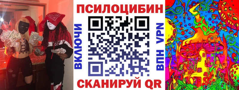 hydra ссылка  Кыштым  Псилоцибиновые грибы мицелий 
